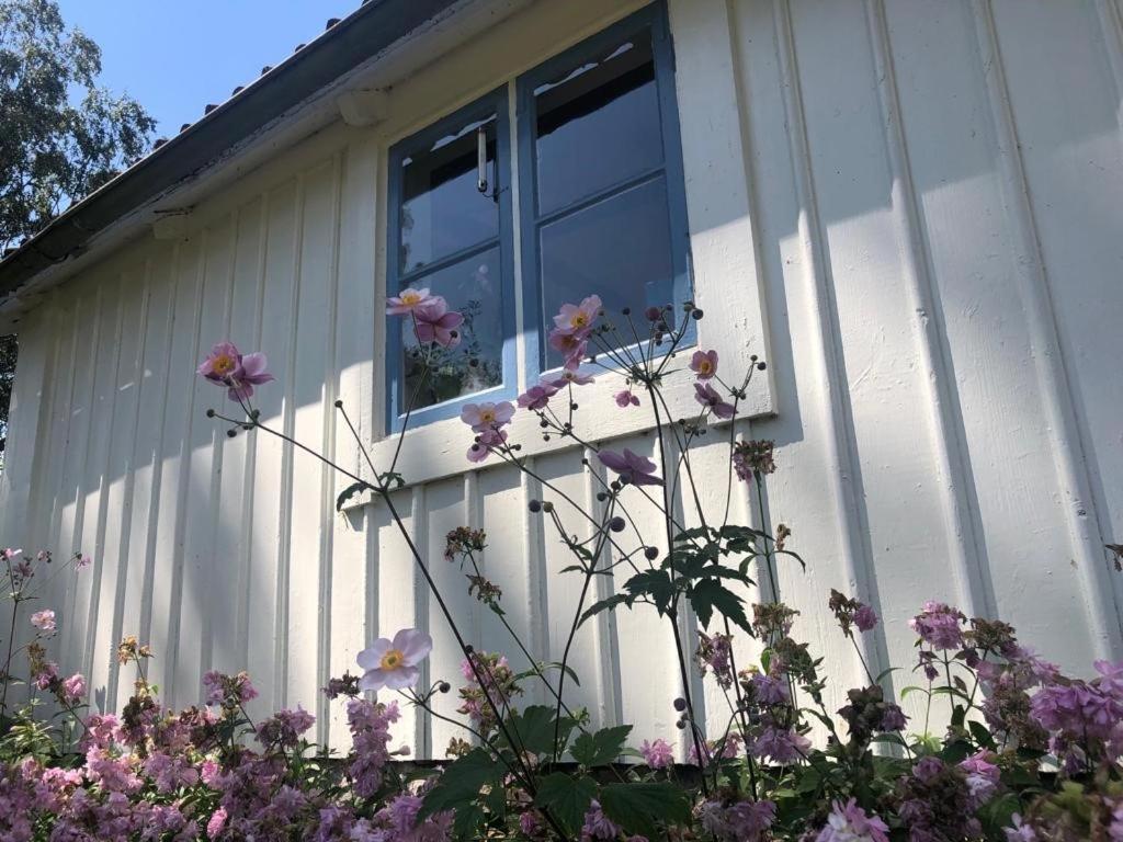 Seaside Cottage Haga Park Frobygarda Extérieur photo